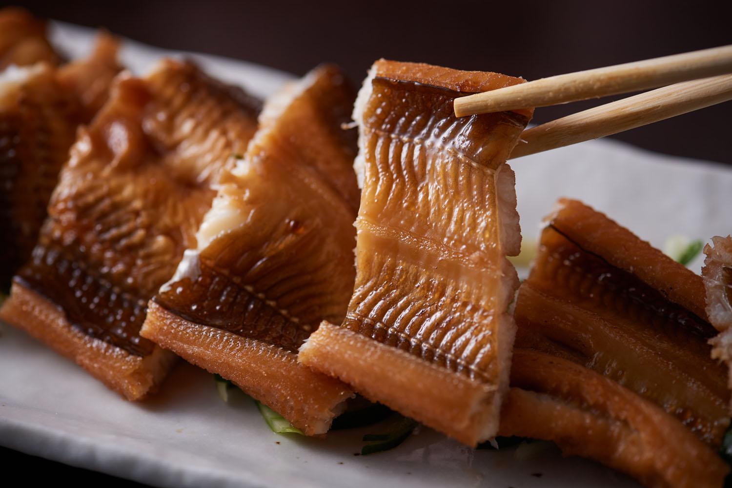 穴子の旬は2回ある！？美味しい穴子を旬に食べよう！！