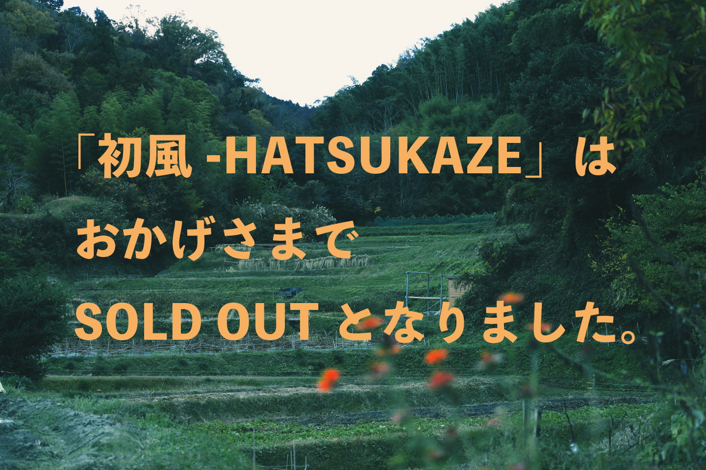 「初風-HATSUKAZE」のご注文ありがとうございました。