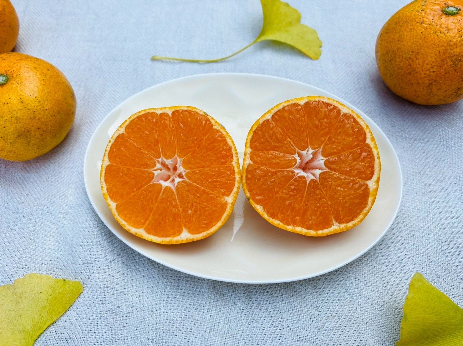 今季の『金の蜜柑(早生)』を発売させていただきます!