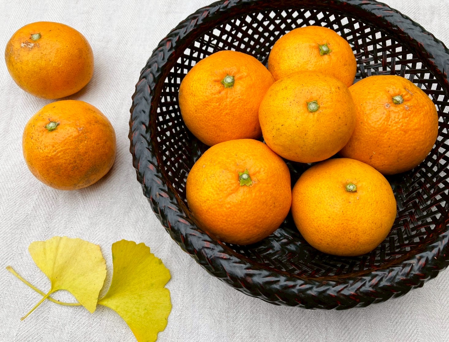 🍊早生「金の蜜柑」発売予定日のお知らせ🍊