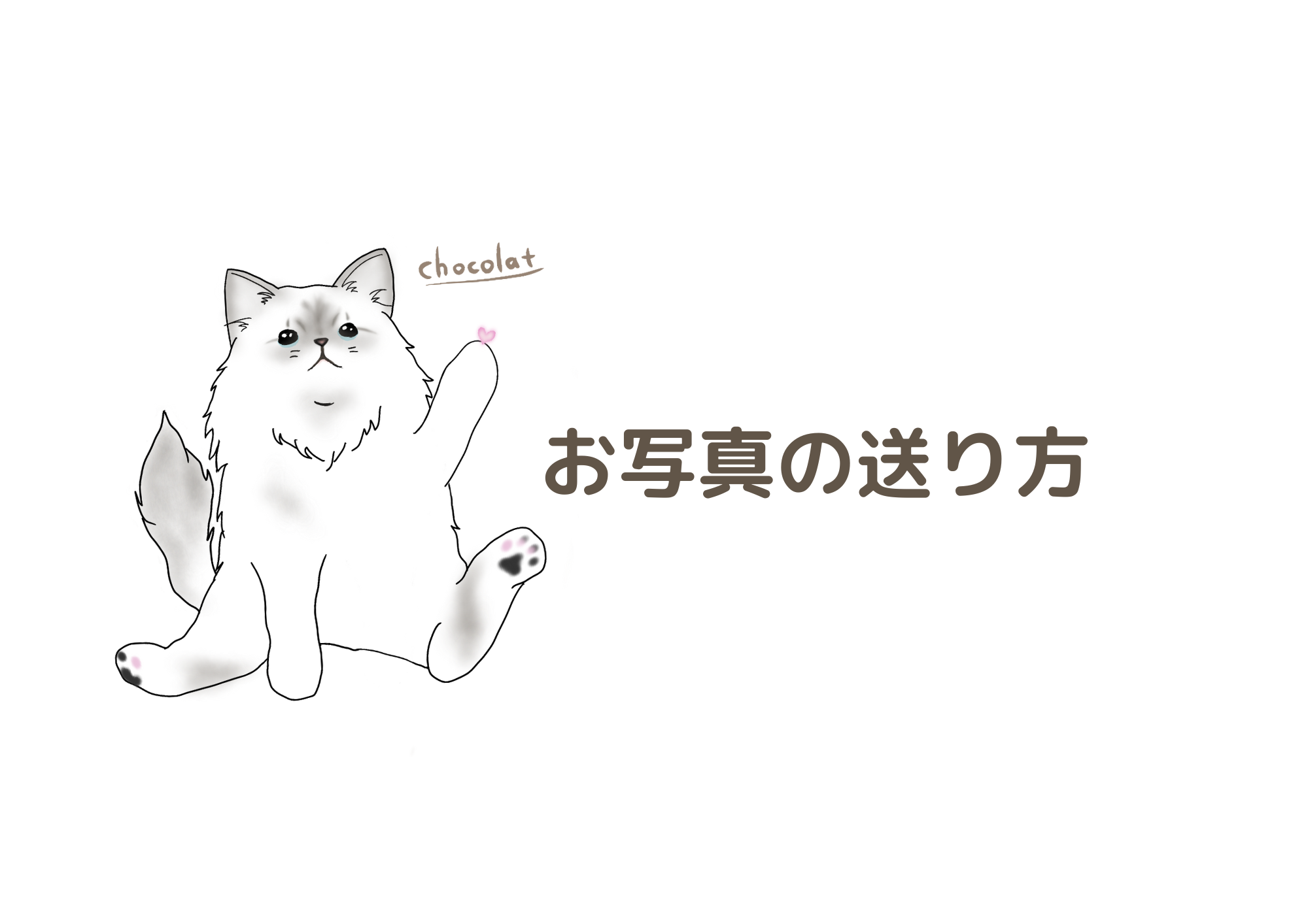 ご購入後のお写真の送り方について
