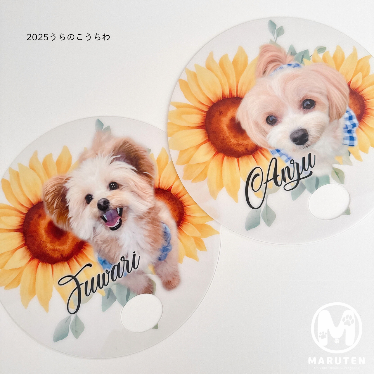 【お知らせ】MARUTEN お写真追加オプションの価格変更