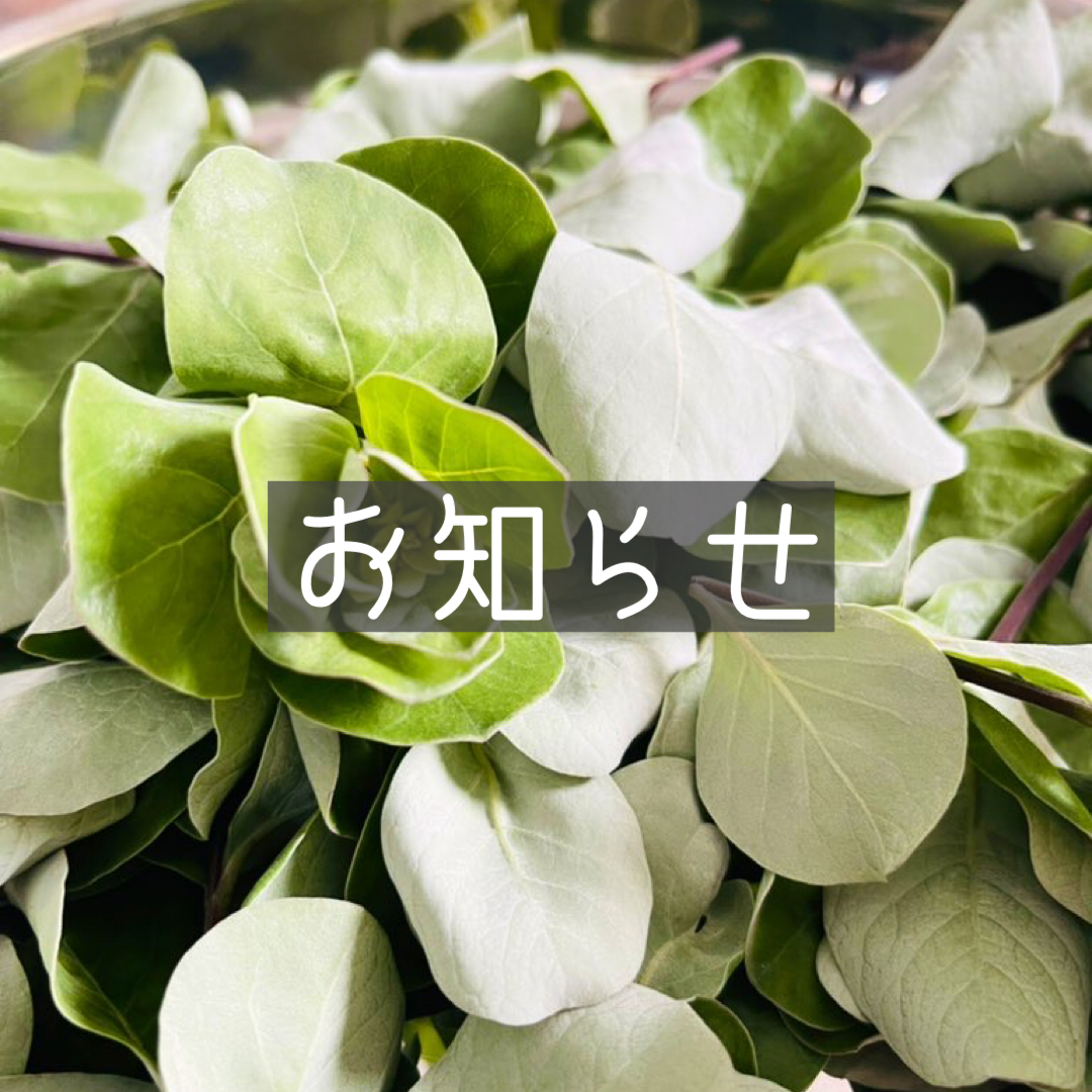 発送業務お休みのご案内