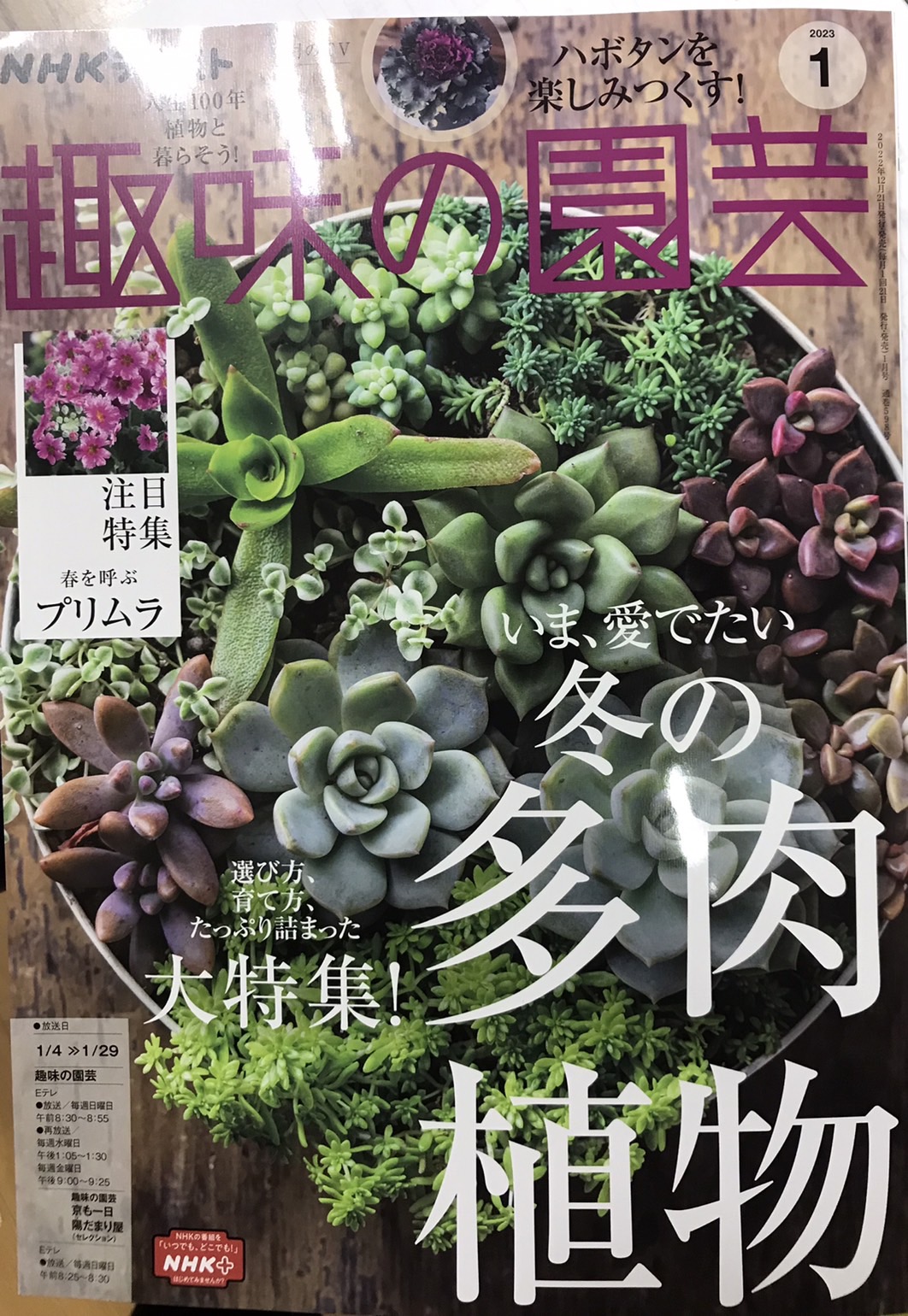 『趣味の園芸』2023年1月号に掲載されました