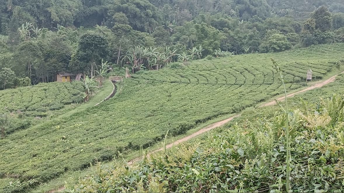 *インドネシア産天然石の生産地をご紹介します *