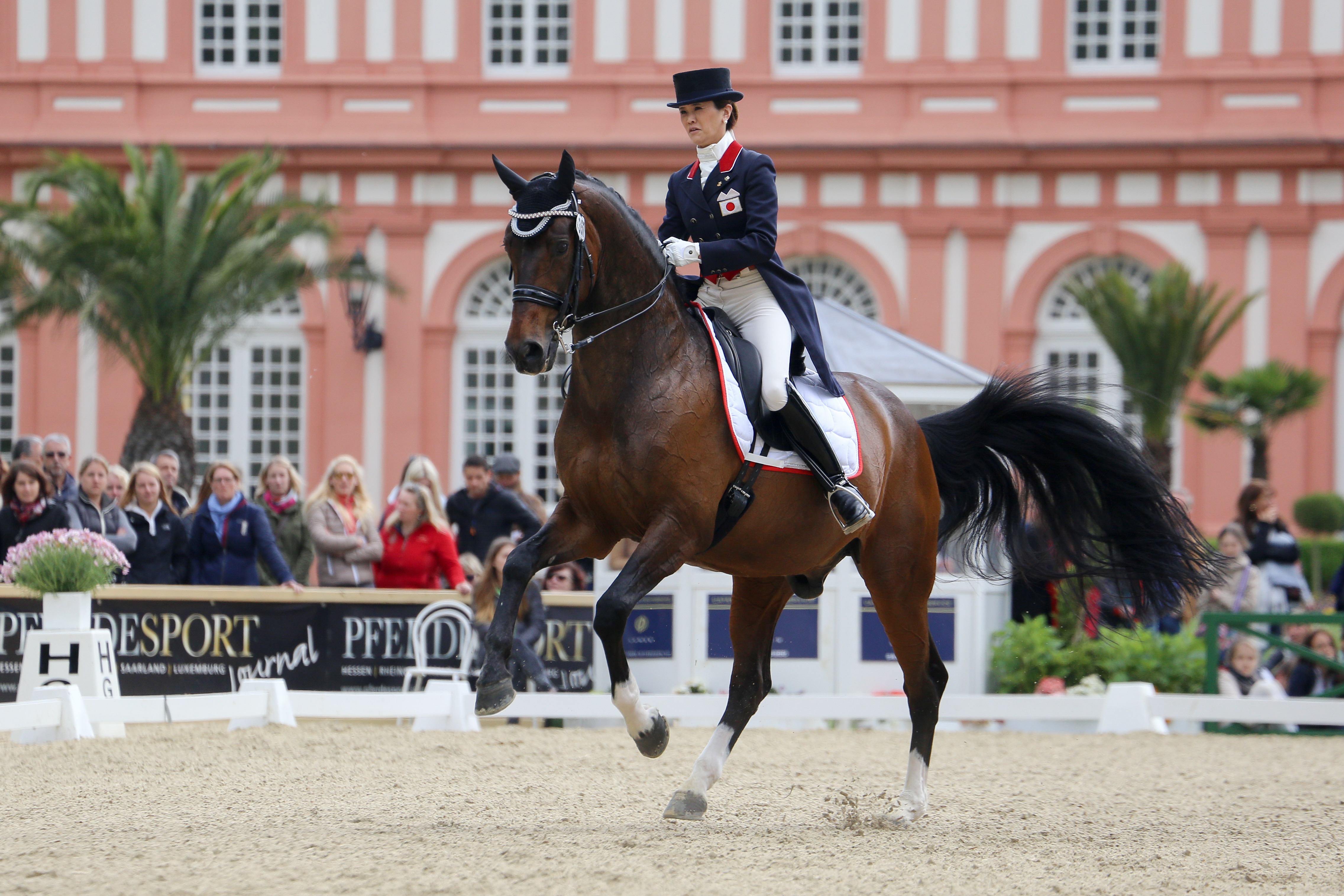 GAWA for Horse Riders #1 北井裕子