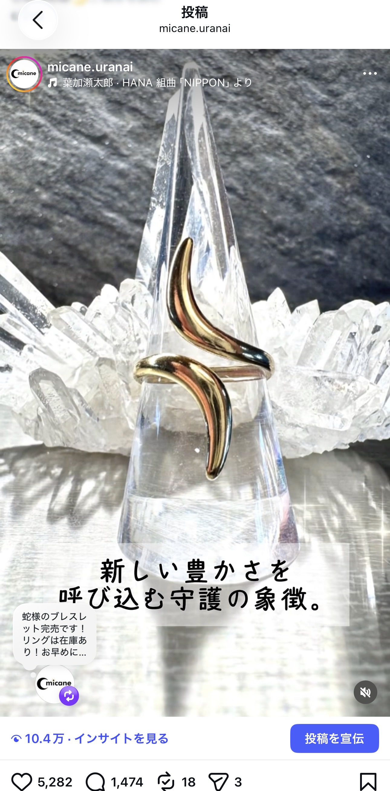 蛇様のリング、ブレスレット再入荷しました！