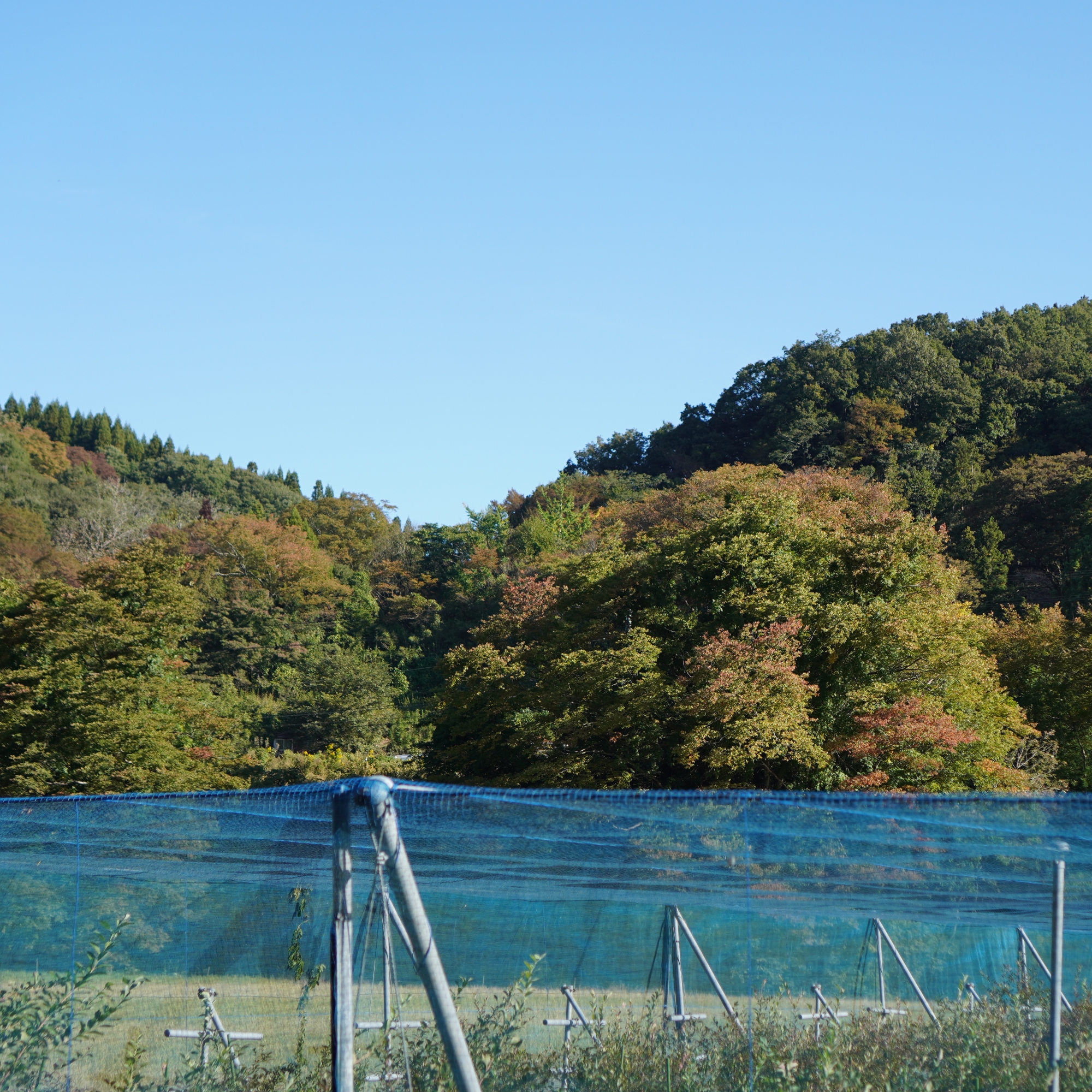 思わぬ落とし穴