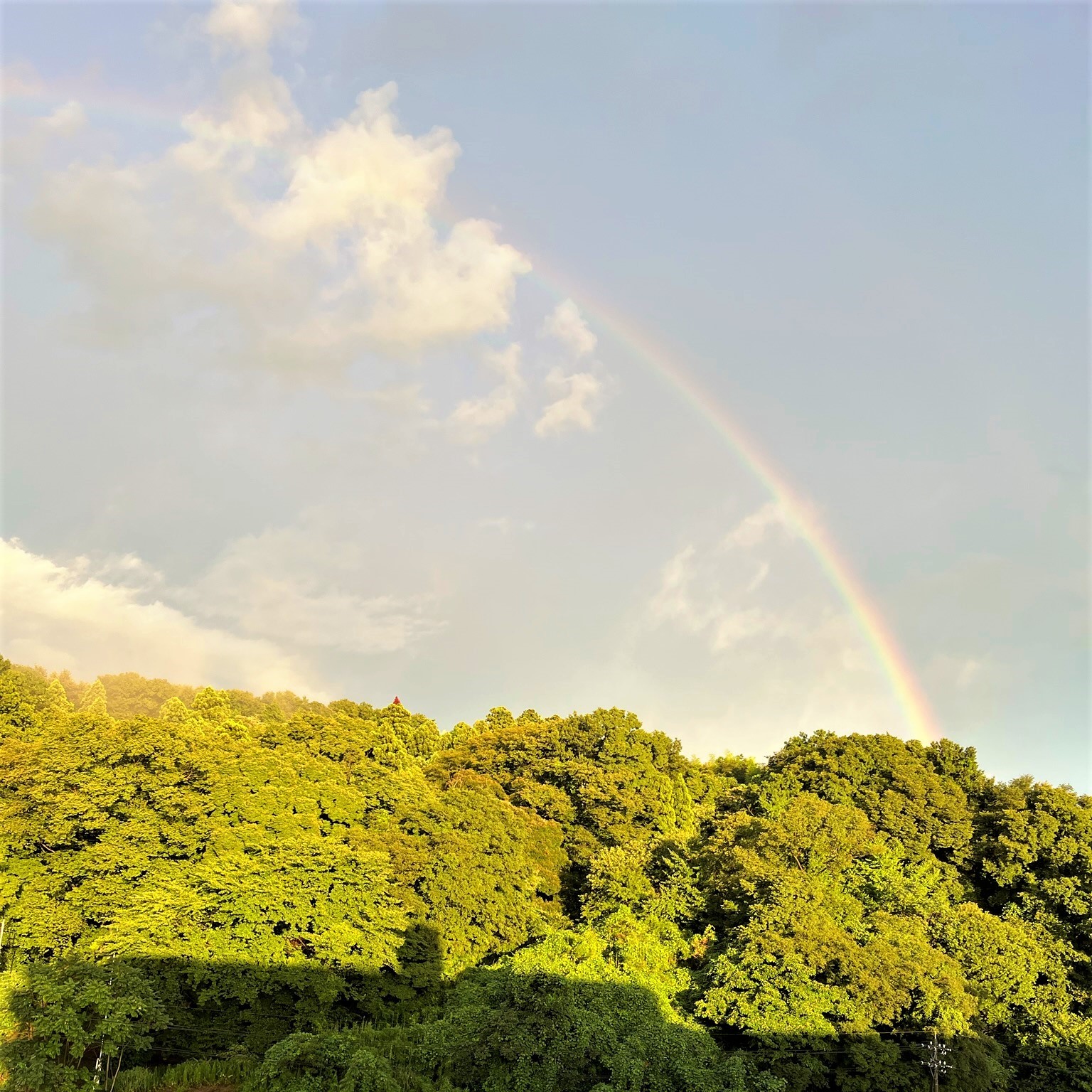 大雨のこと。