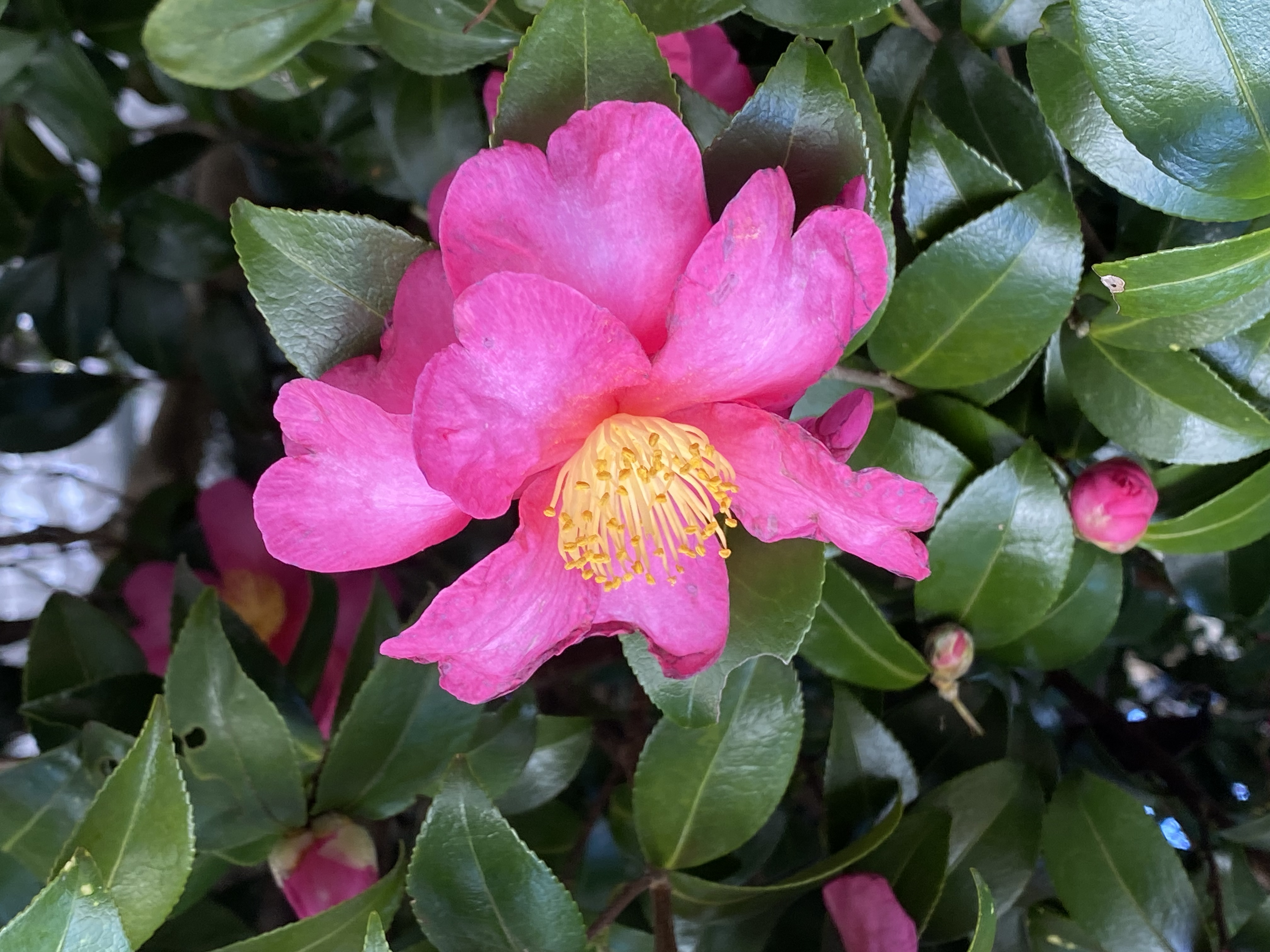 年末のご挨拶