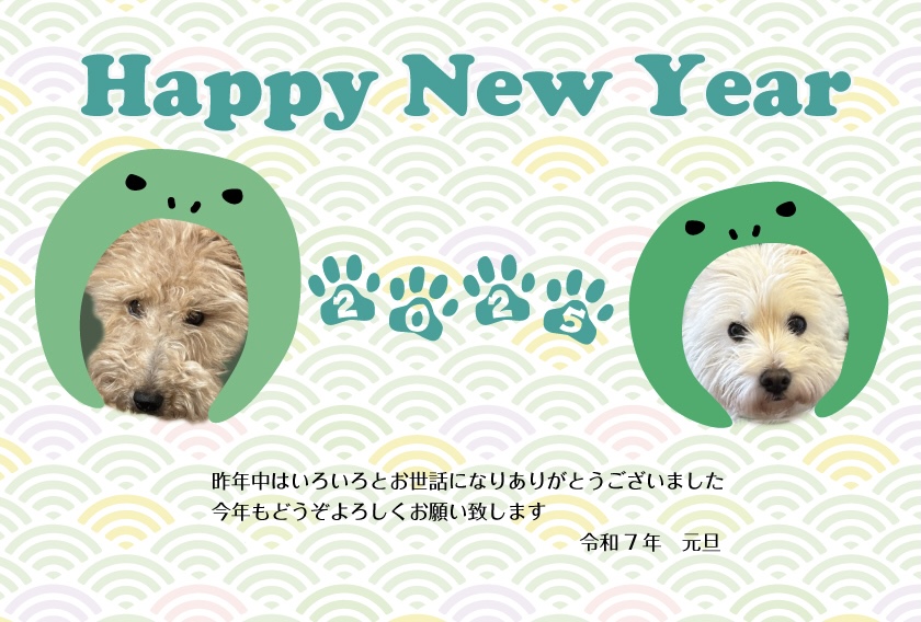 今年もよろしくお願いします