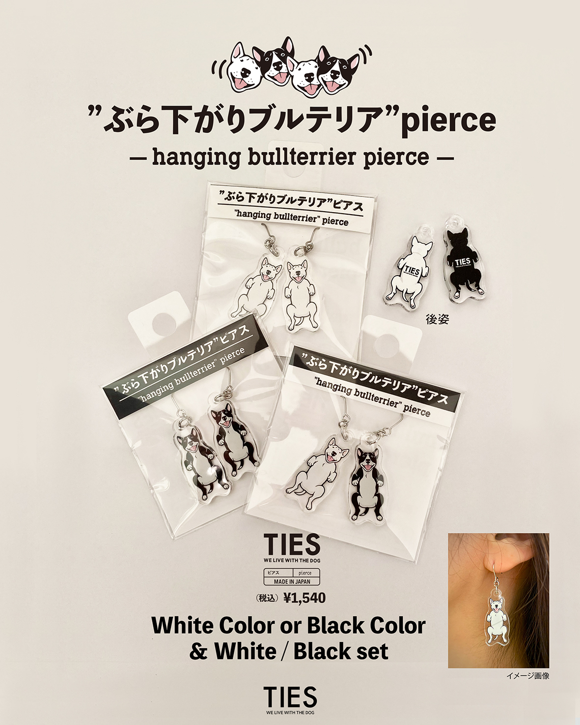 関西ブルテリアオフ会で販売します-③！