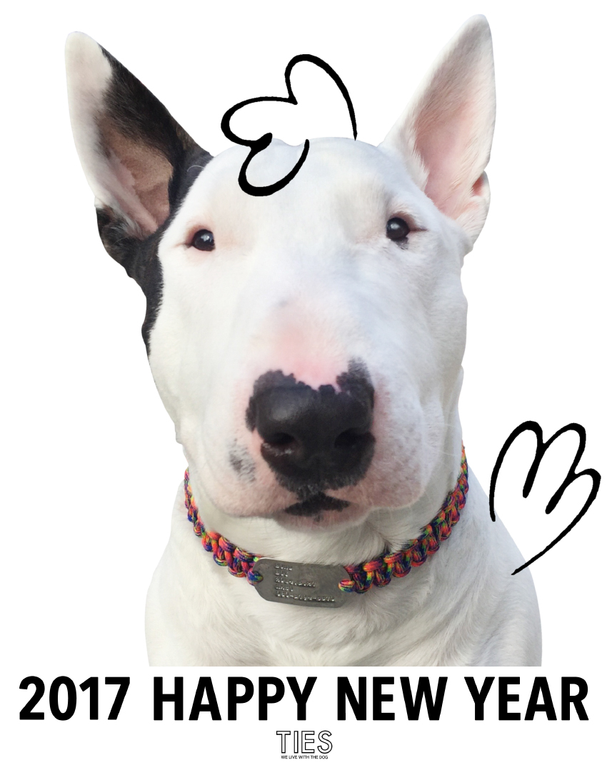 2017 HAPPY NEW YEAR!!!