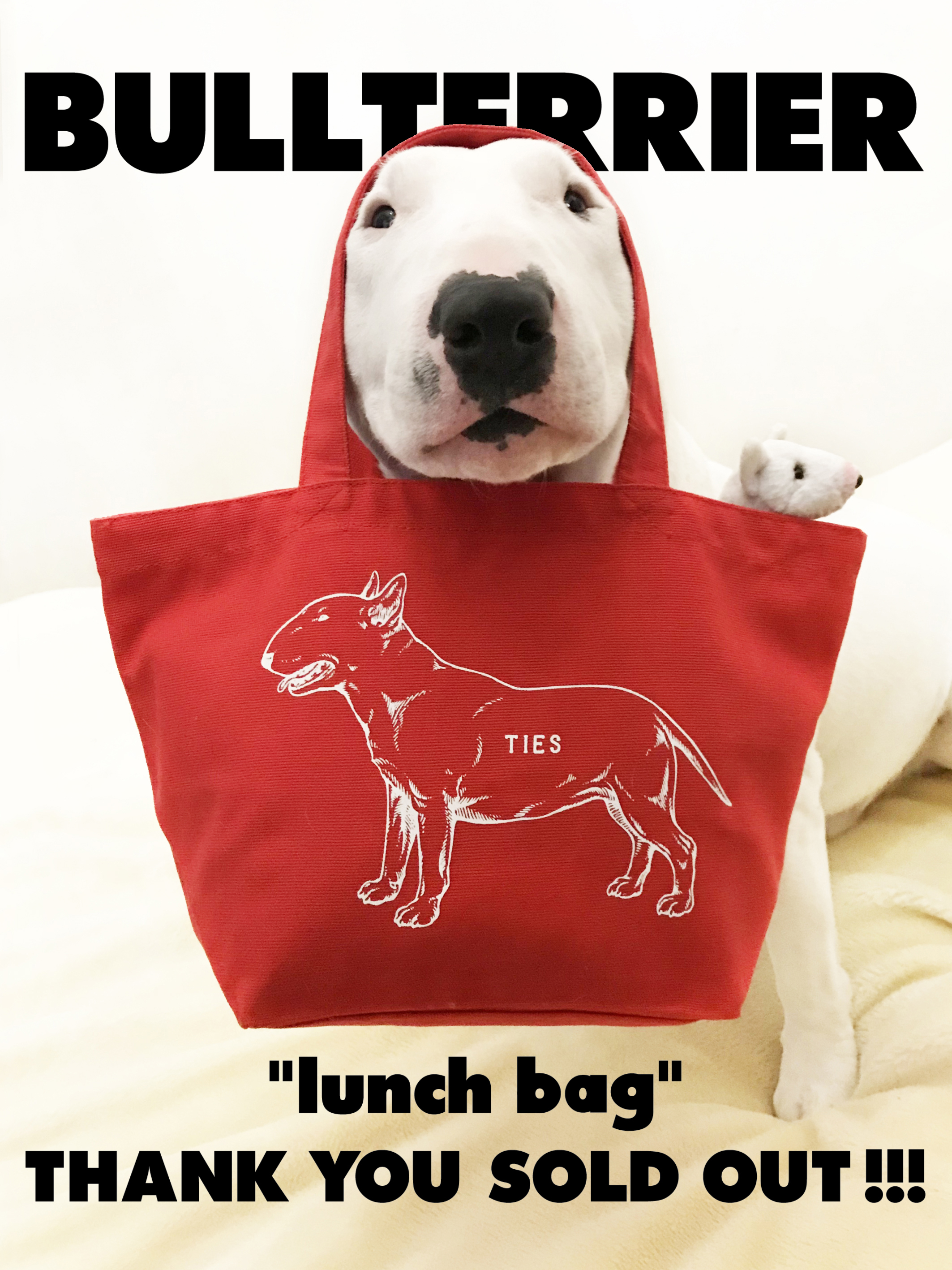 "Lunch bag"  Thank you  Sold out!!