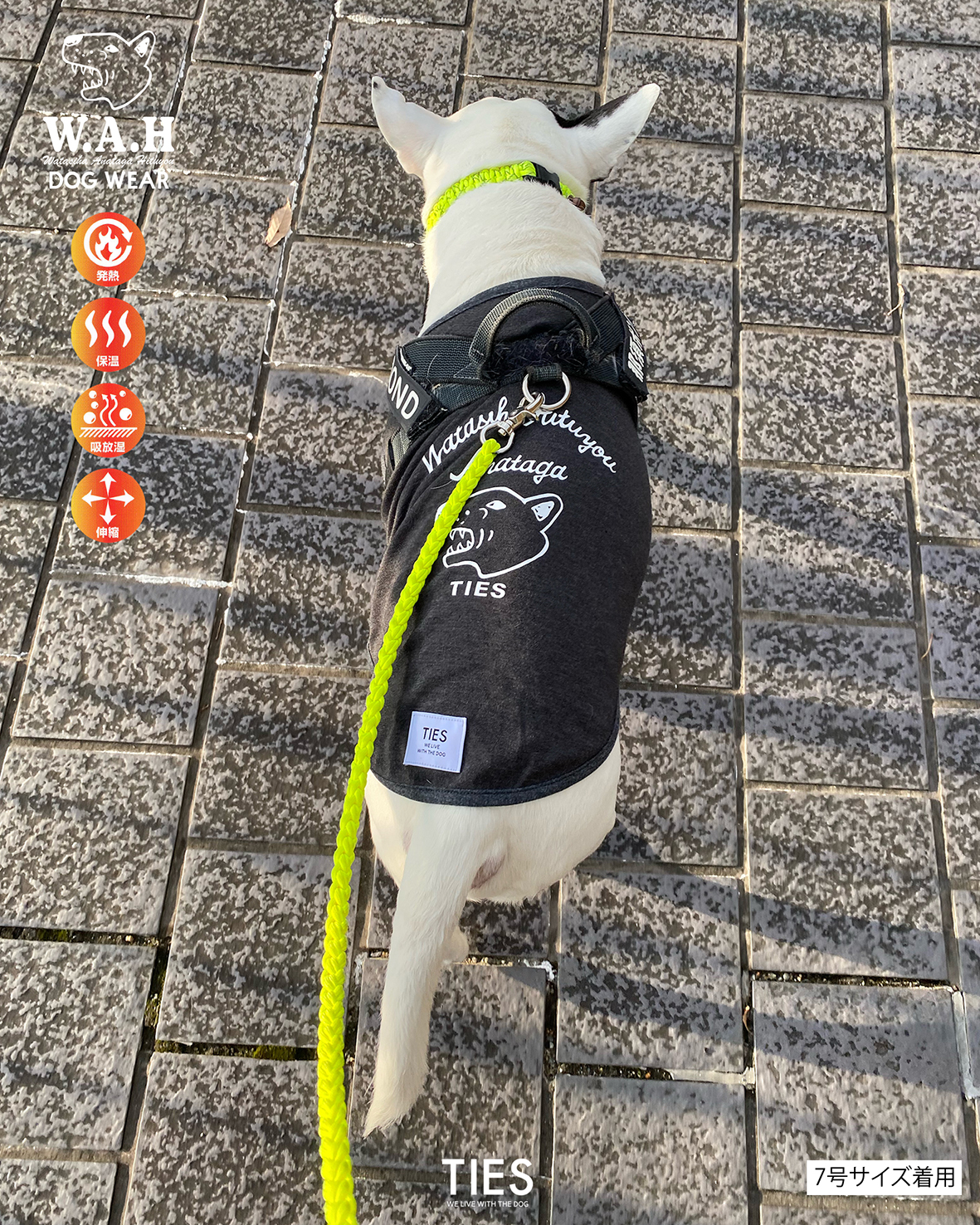 ライズヒートDOG WEAR、10日よりオンラインオーダー予約スタートしました！