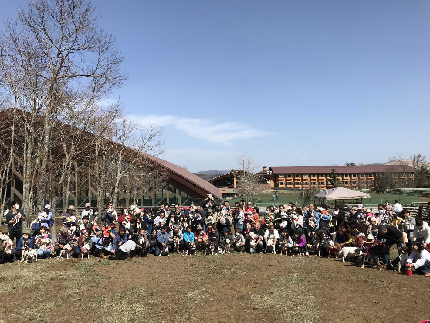 関東ブルテリアオフ会、物販も無事終了しました！