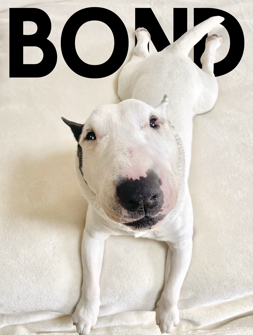 ギガが来て12日後に起きた”ボンドの慢性腎臓病”について