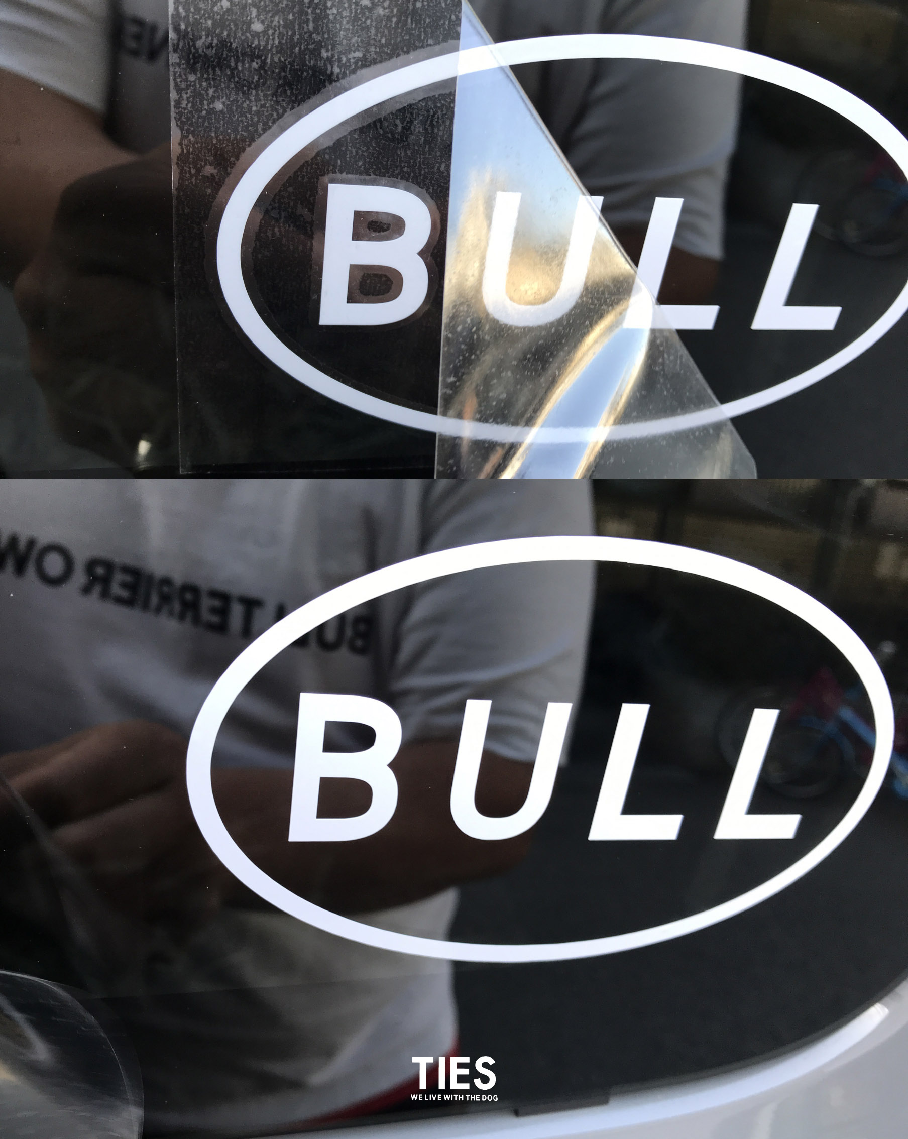 "ALL BULL" ステッカー！！！