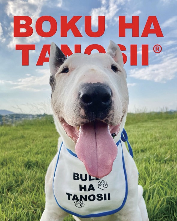 "BULL HA TANOSII" !!!!