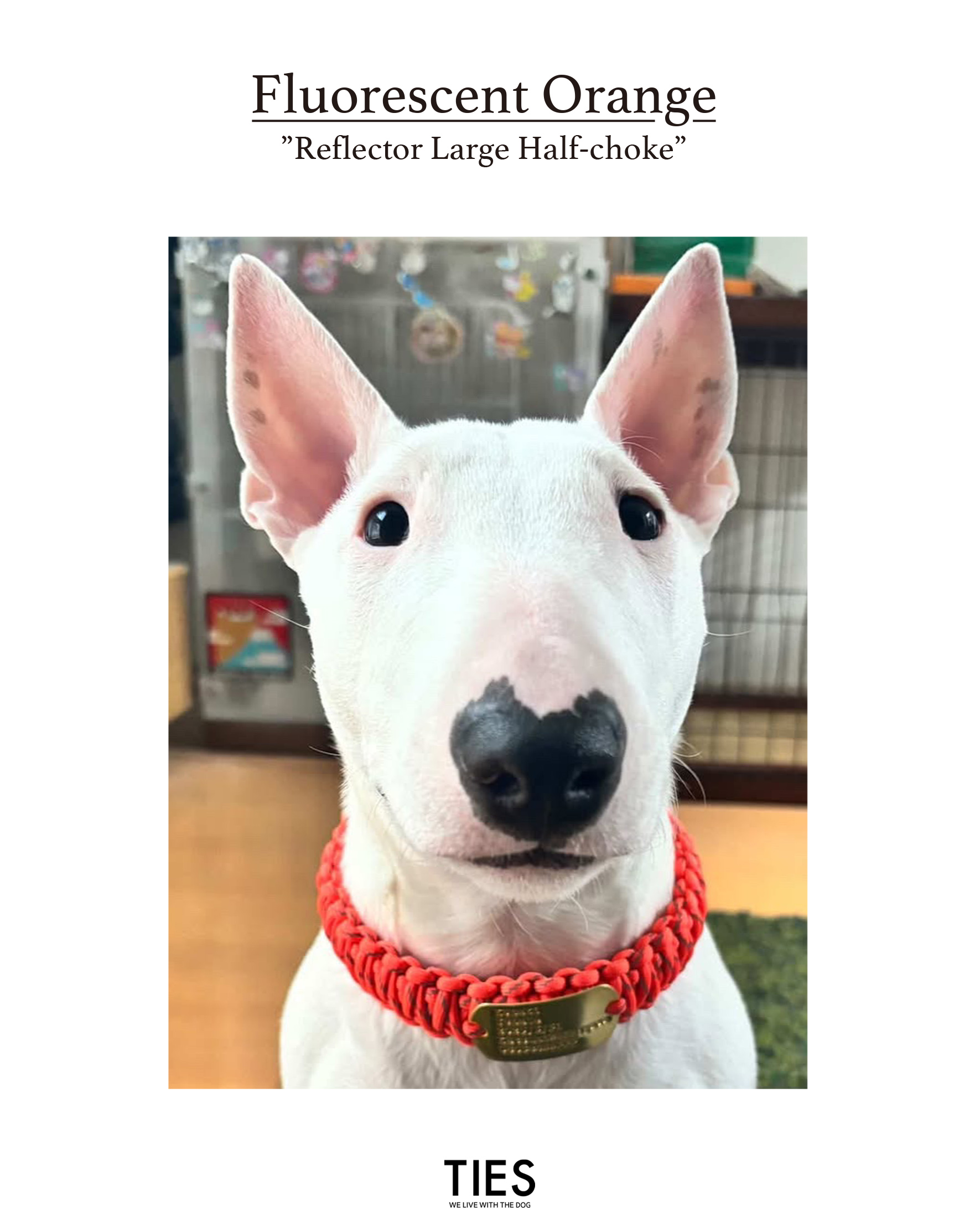 Thank you "KOMAKI family"!