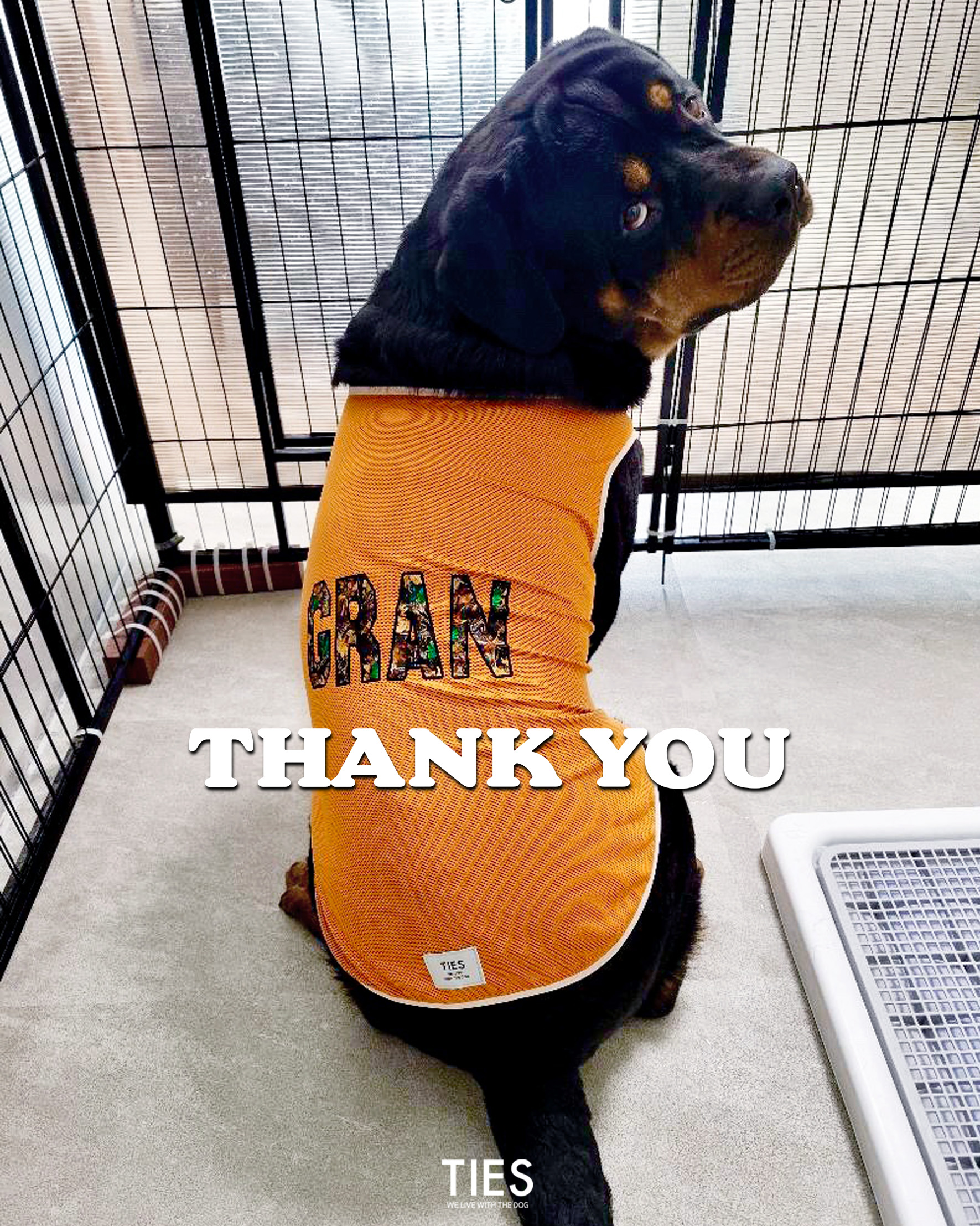 Thank you "GRAN family"!