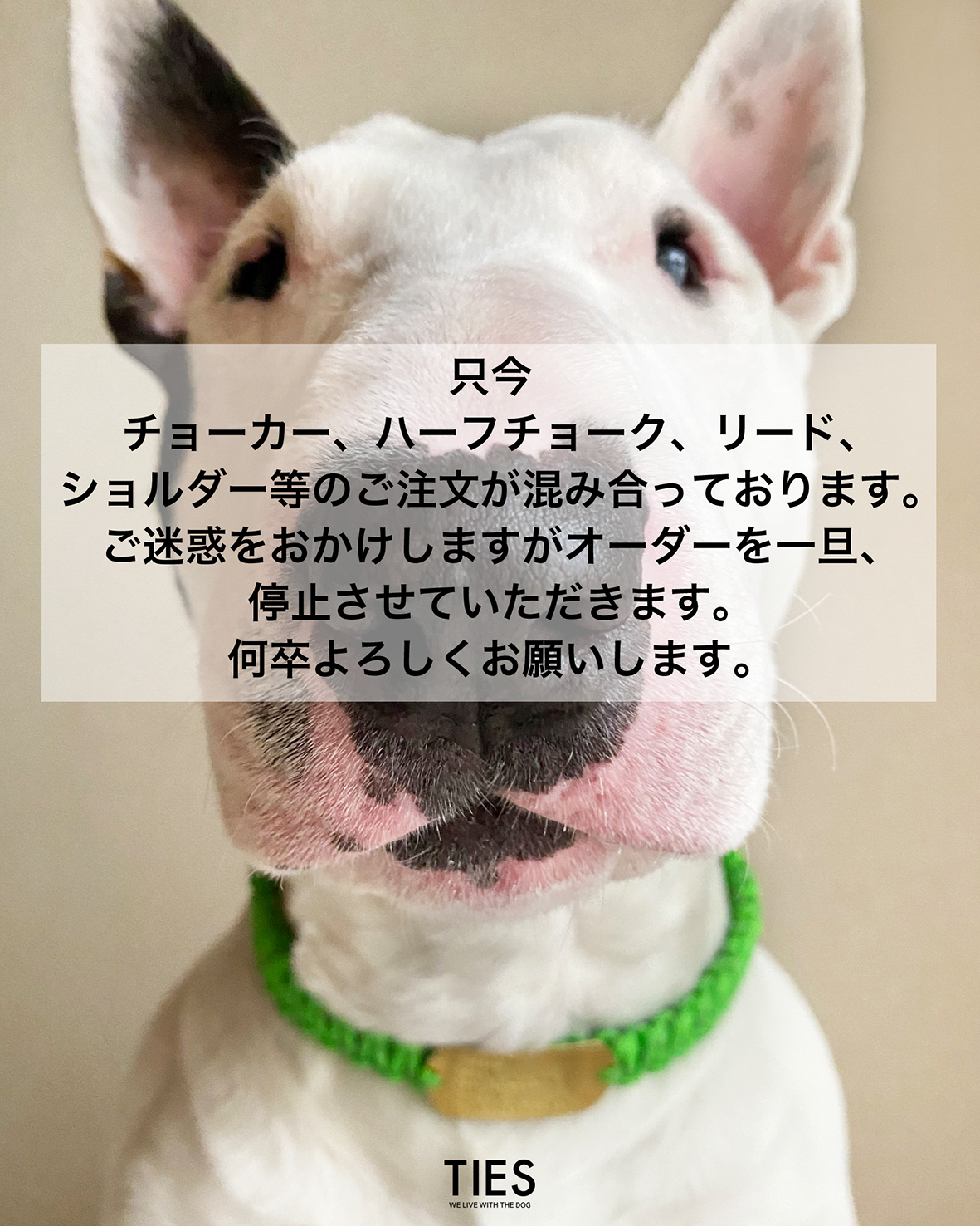 只今チョーカー、ハーフチョーク、リード混み合っておりオーダーを一旦、停止させていただきます。