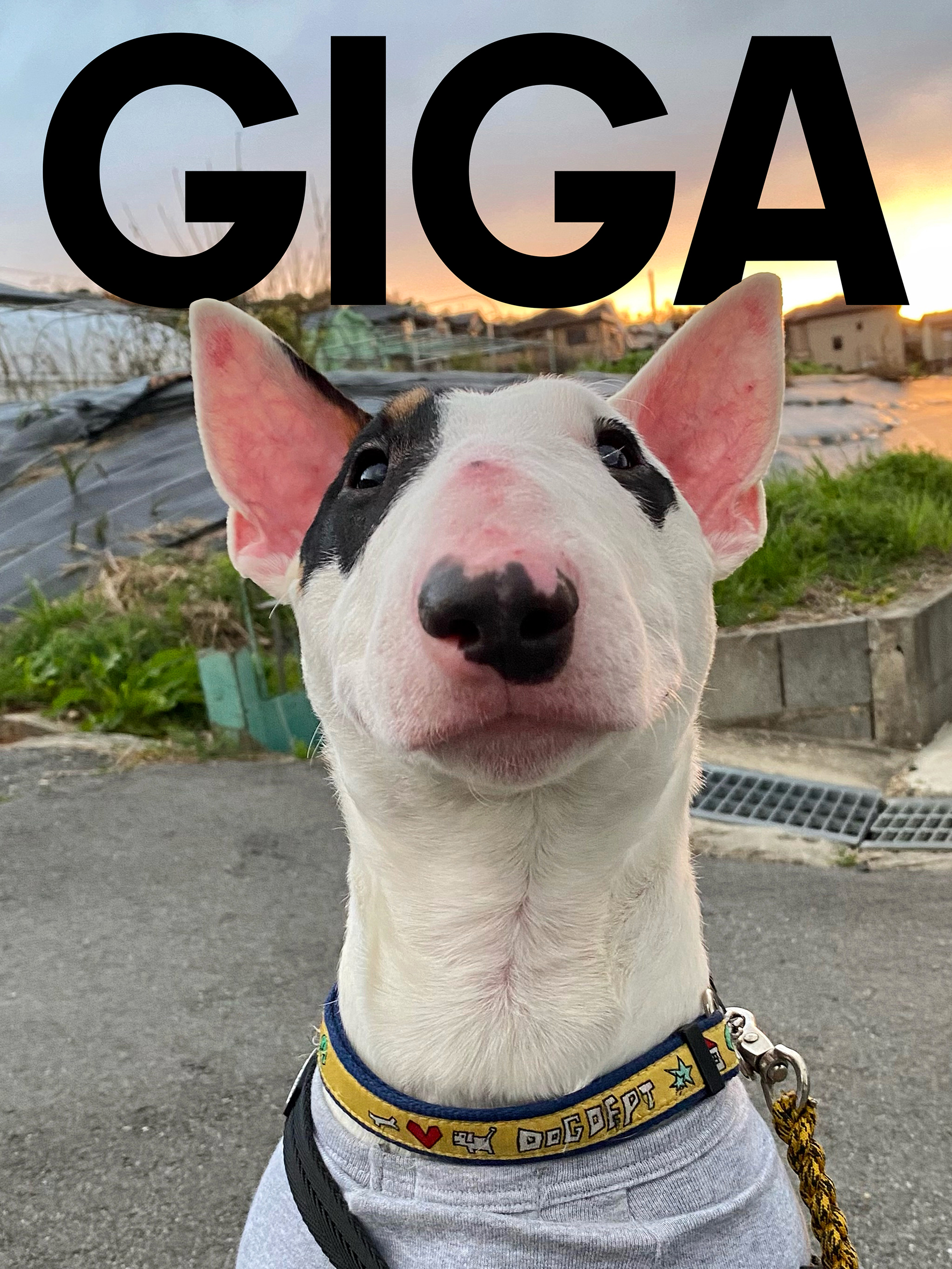 那須"ギガ"です。