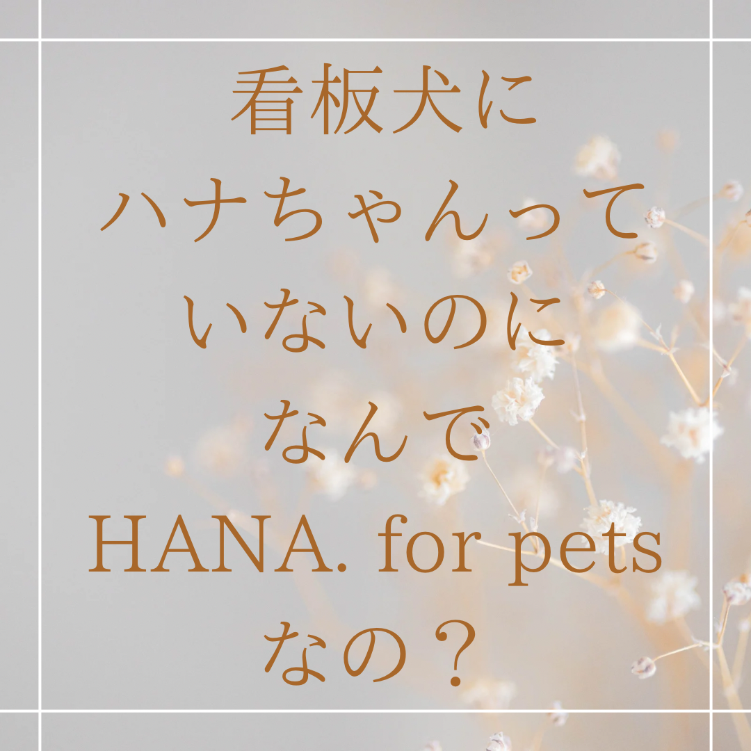 HANA. for petsの由来