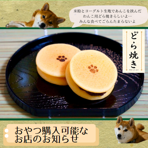 取扱店舗はコチラ