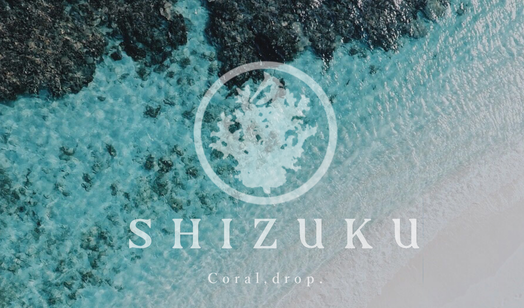 珊瑚米 白雫-SHIZUKU-