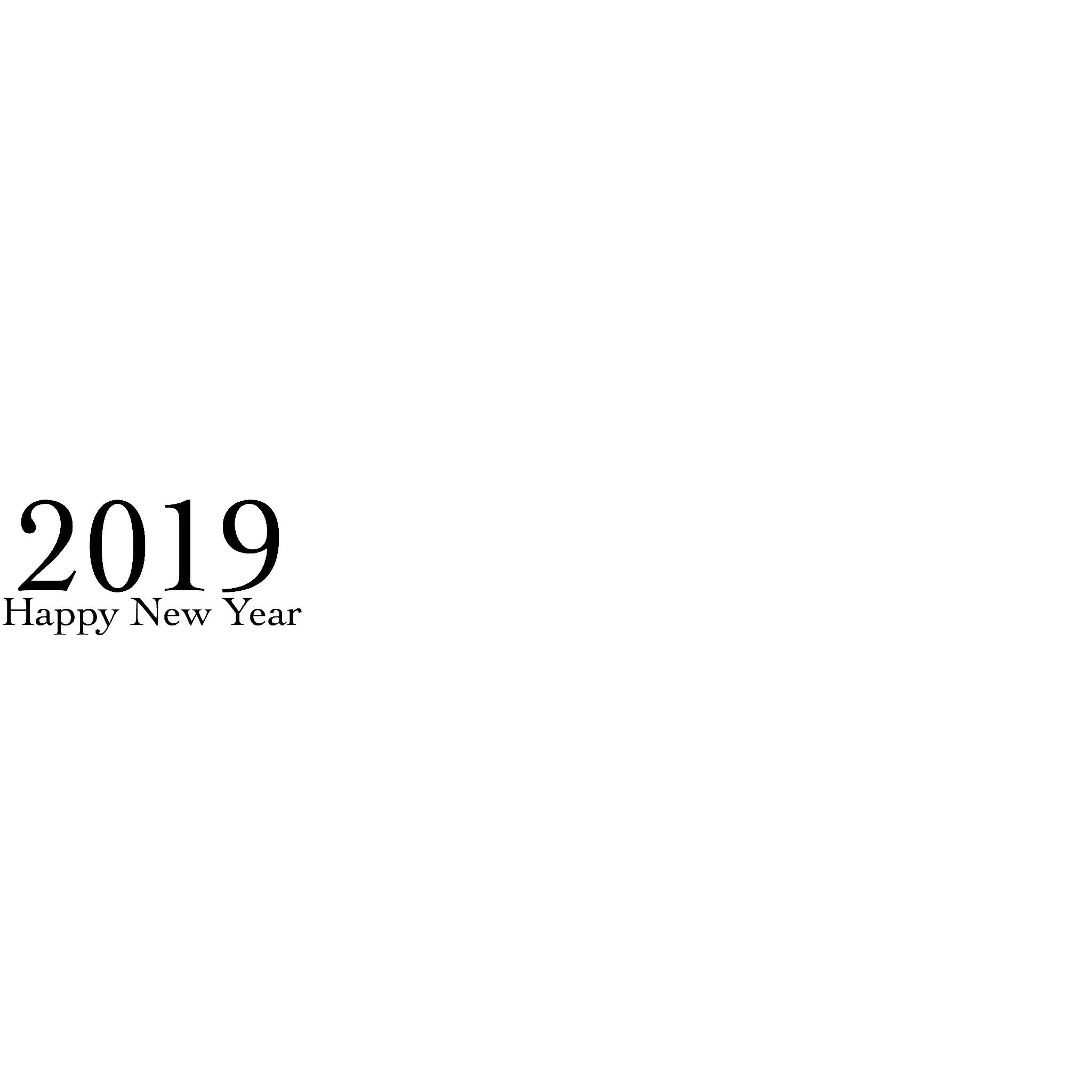 Happy New Year 2019!!!