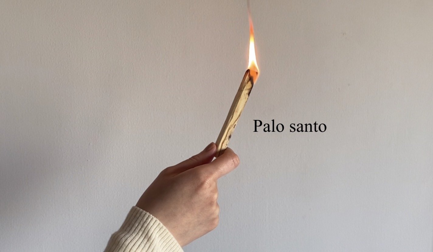 【ホームケア】Palo santo（パロサント）と夜の時間