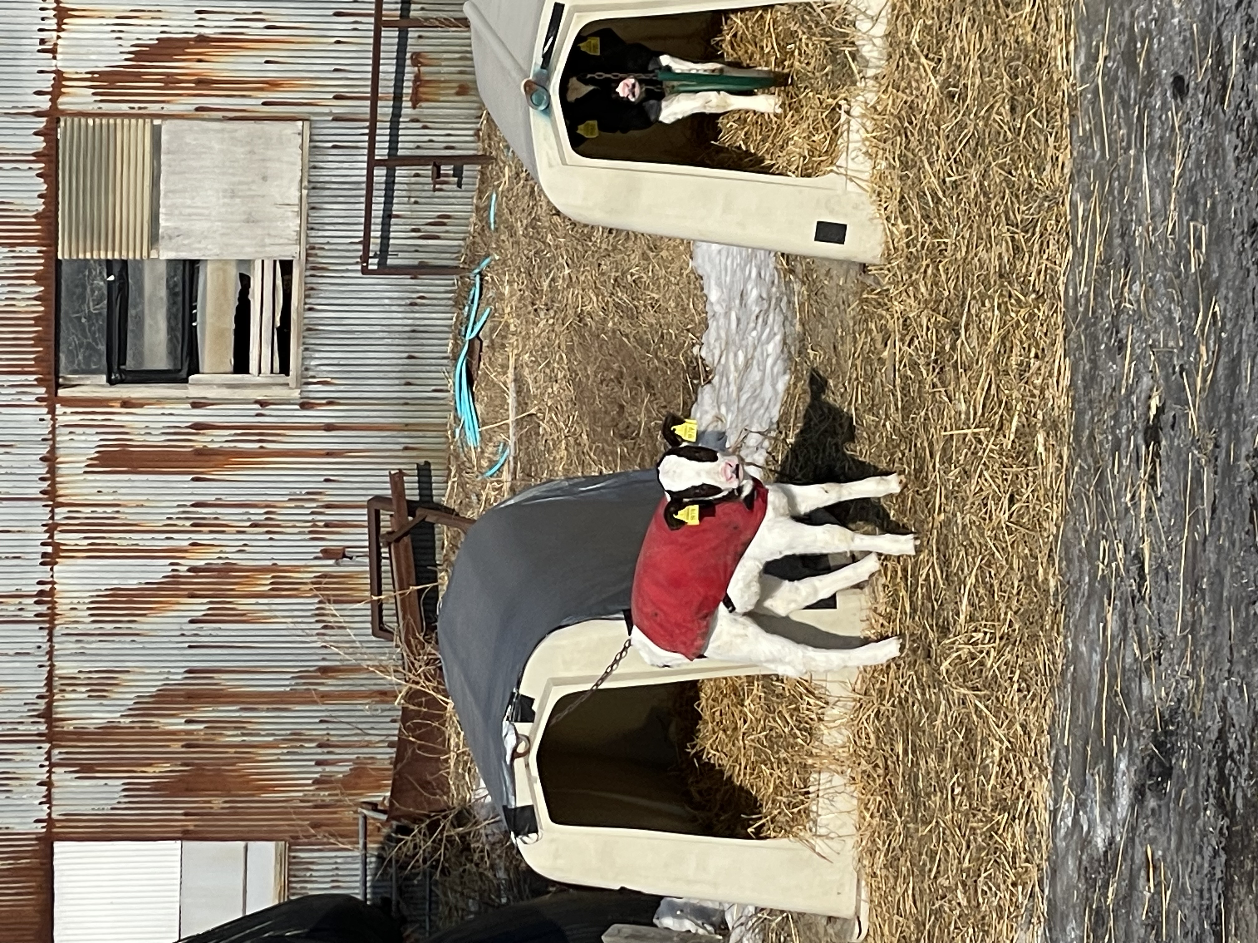 今年で一番うれしかった事