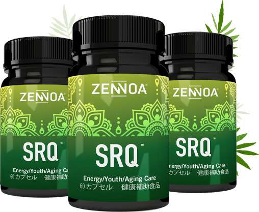 ミトコンドリア理論を理解してSRQを理解する
