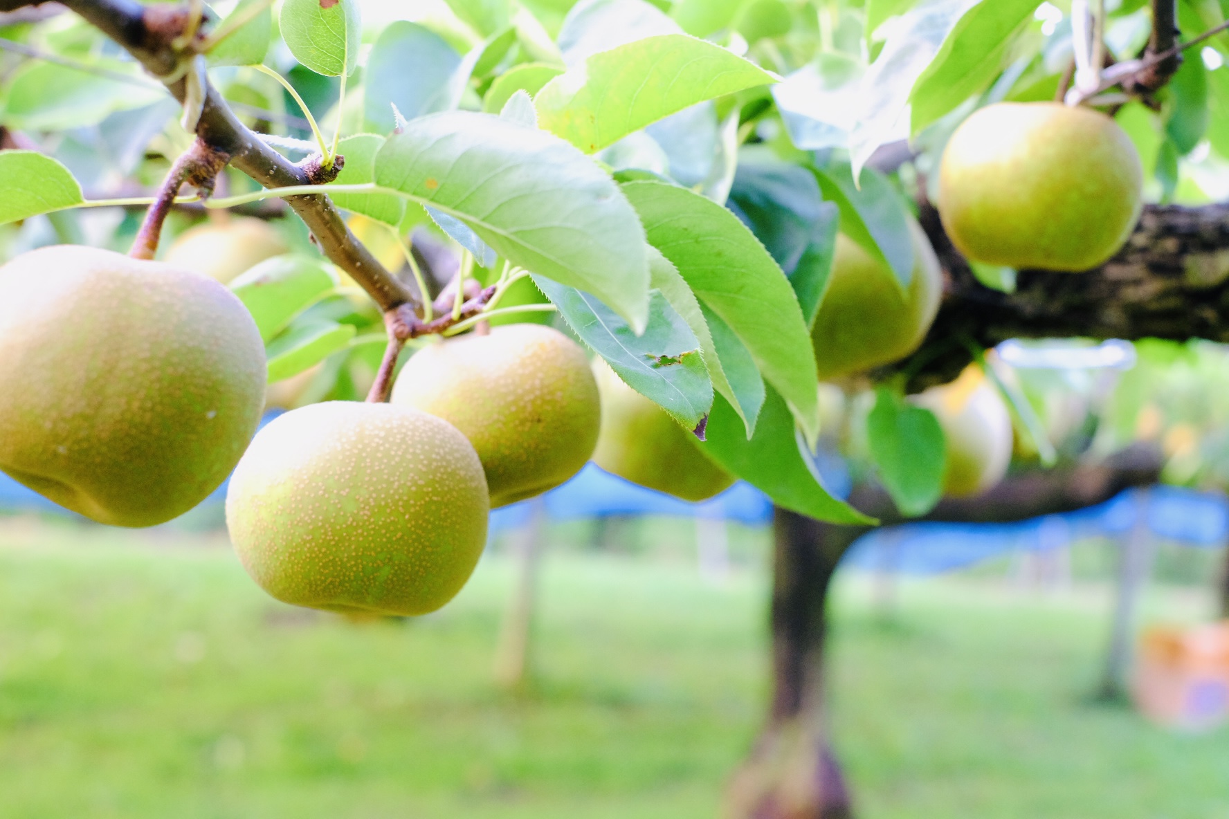 実り箱について、2月末に向けてのお知らせです