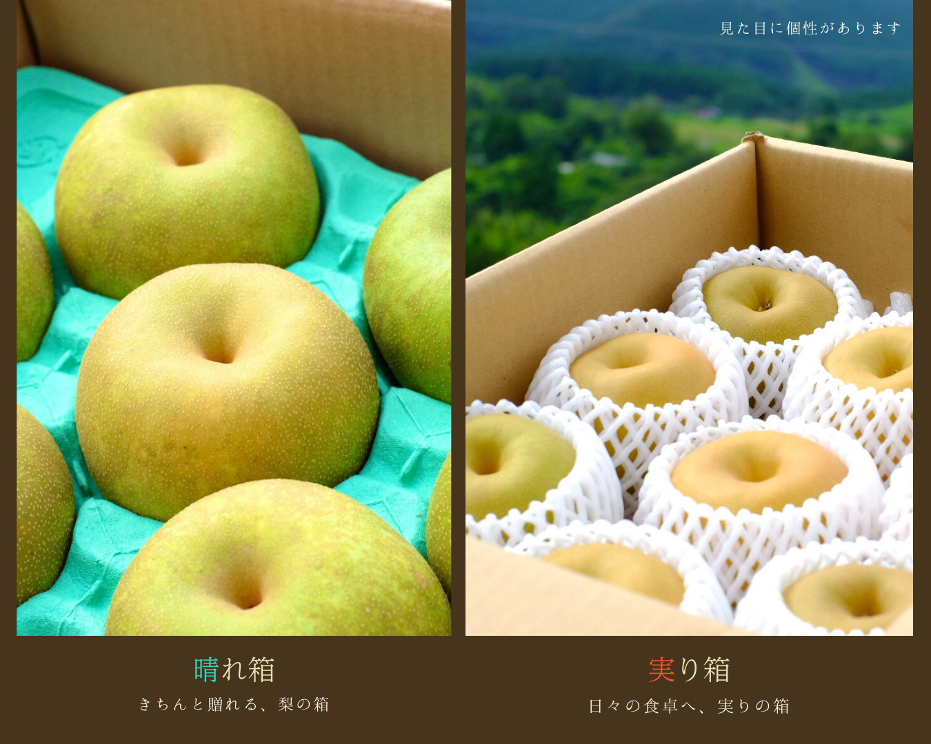 今年の梨についてのご案内を、まとめました。 (今年の梨について|箱の仕立てと想い)