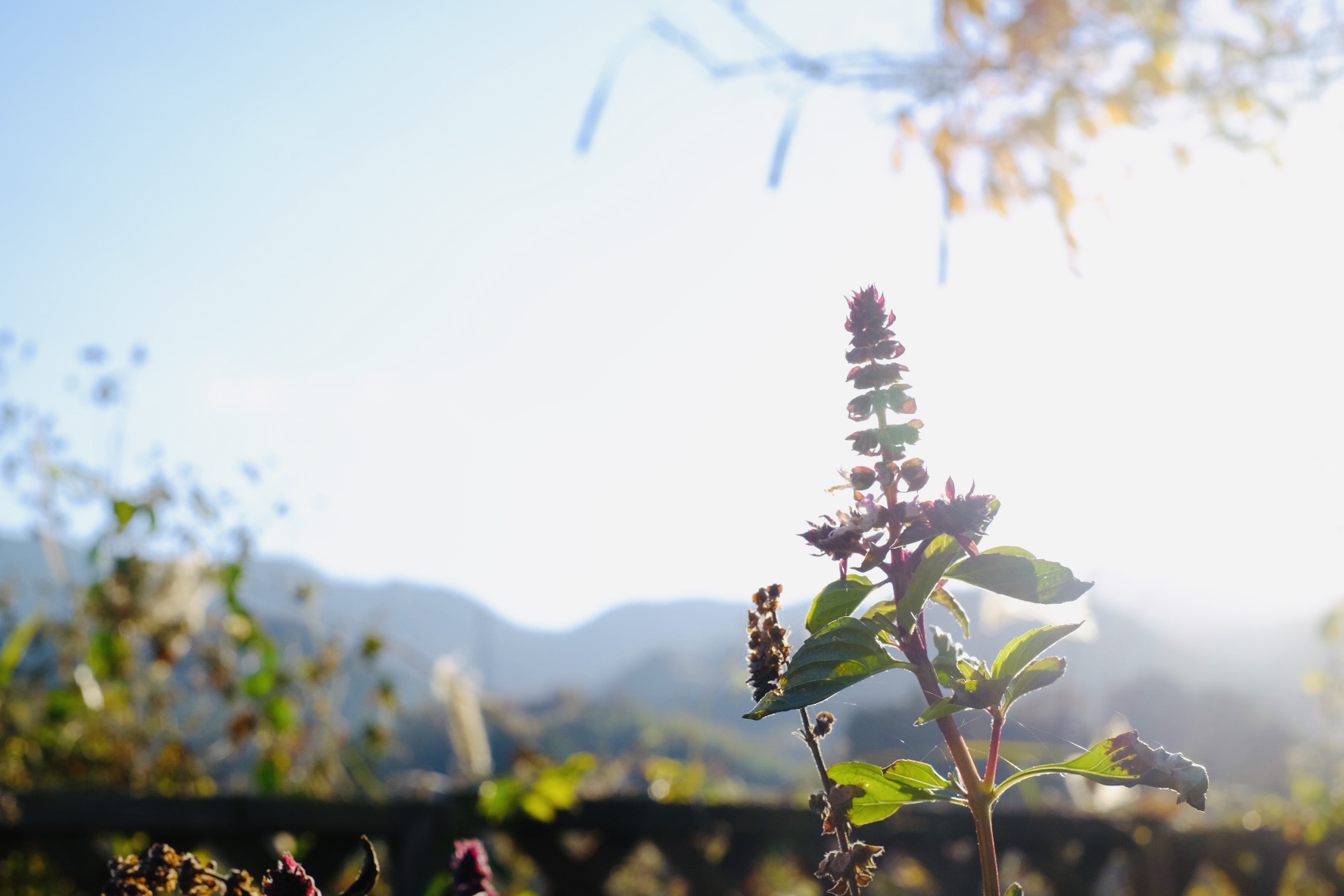 10周年の節目に