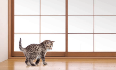 ワーロン紙ご存じですか？