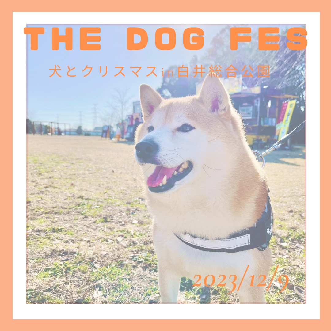 参加しました！犬とクリスマスー㏌白井総合公園