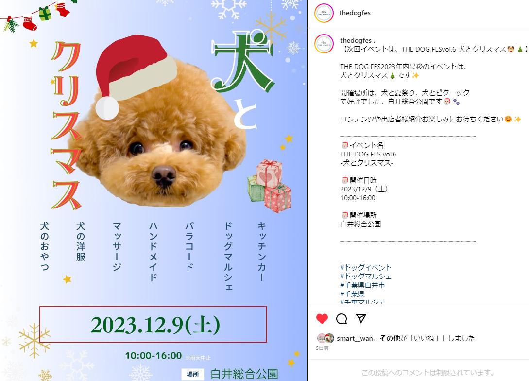 犬とクリスマスー㏌白井総合公園