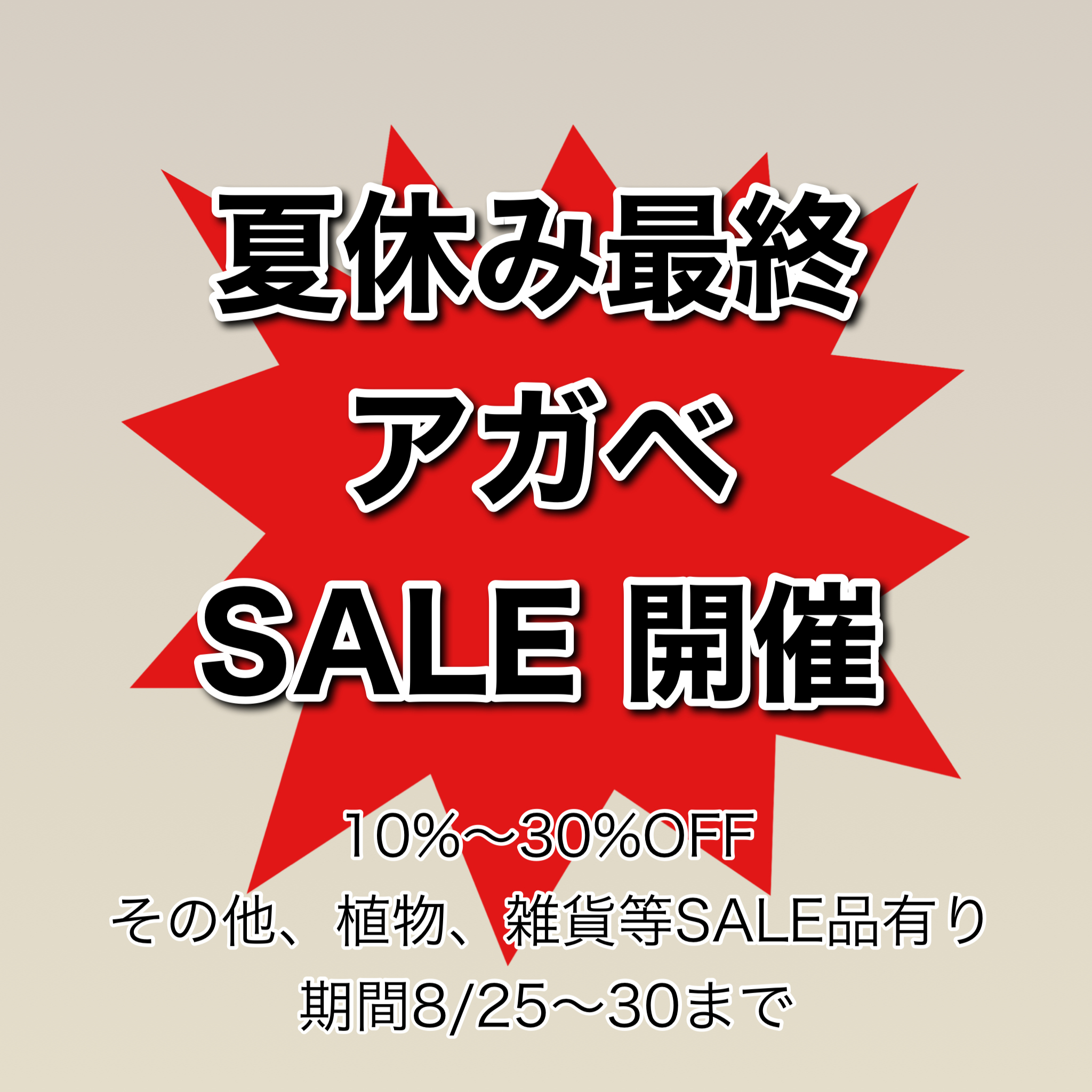 夏休み最終アガベSALE開催‼︎ネットショップでの配送料について
