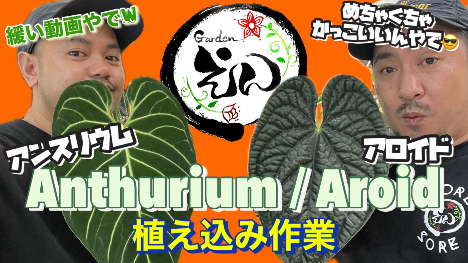 【YouTube】魅惑のアロイドを植え込んでいくよ❗️