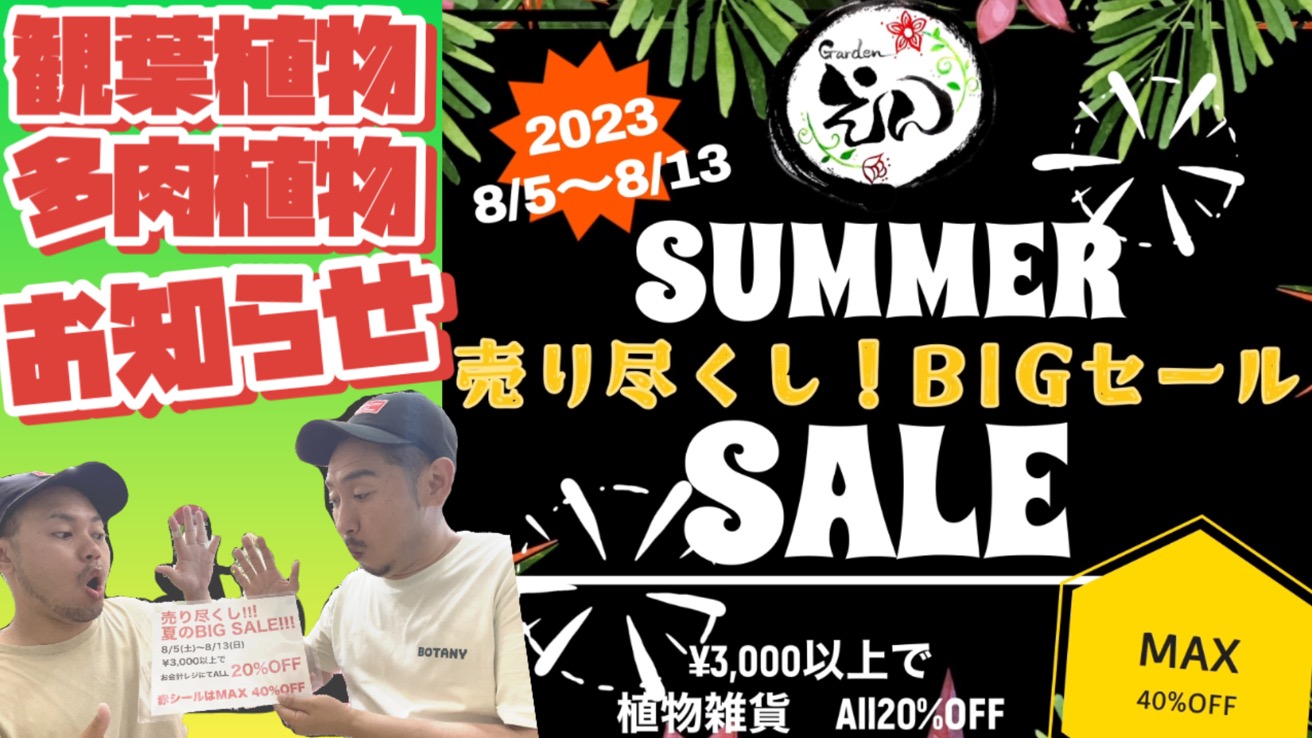 夏のBIGセール!YouTube観てくれた方に特典あり！