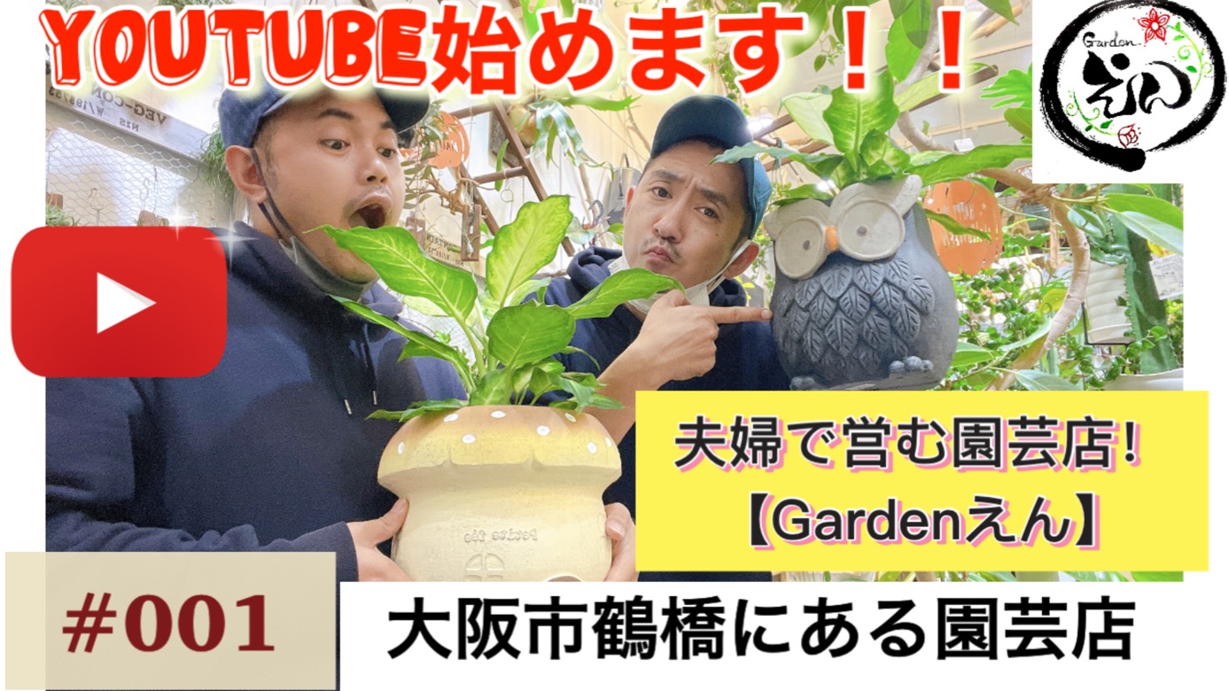 YouTube始めました‼︎
