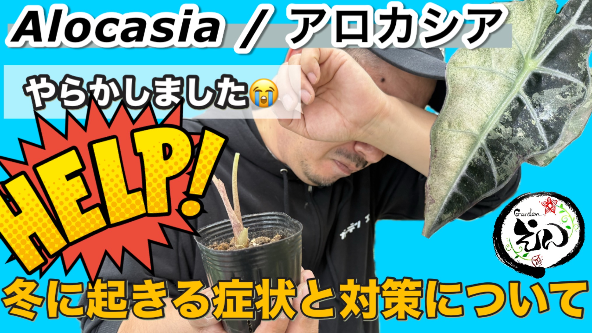 【YouTube】冬に起きる症状をお助け！！