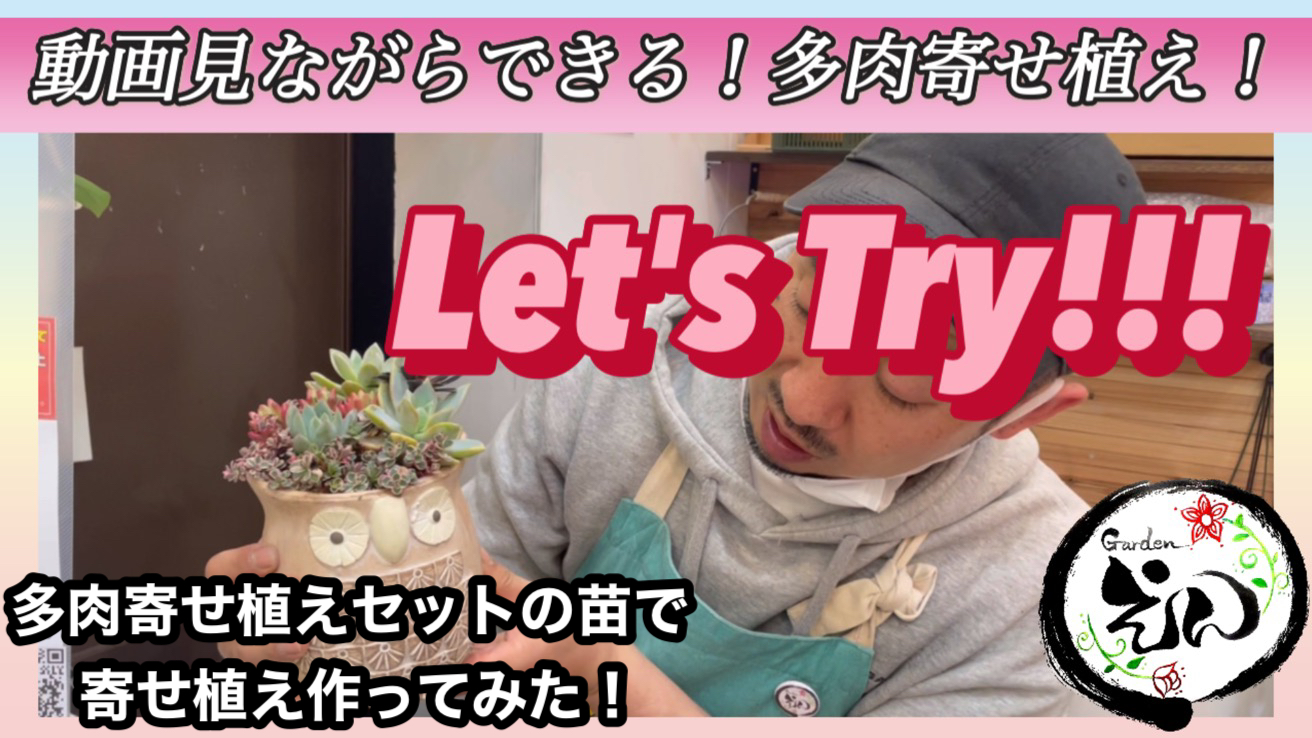 匠園芸さん多肉で寄せ植え動画レクチャー！