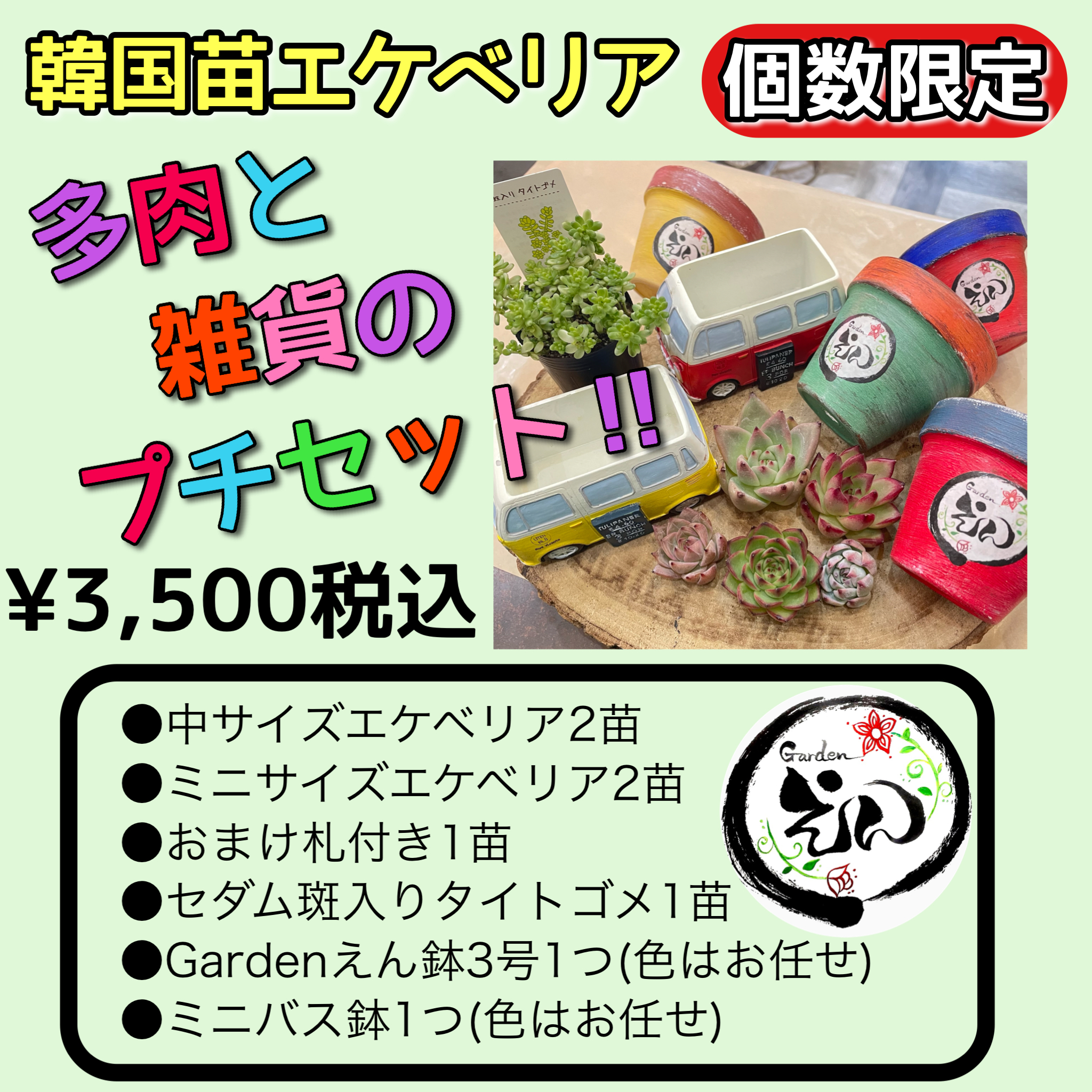 雑貨と多肉のプチセット！