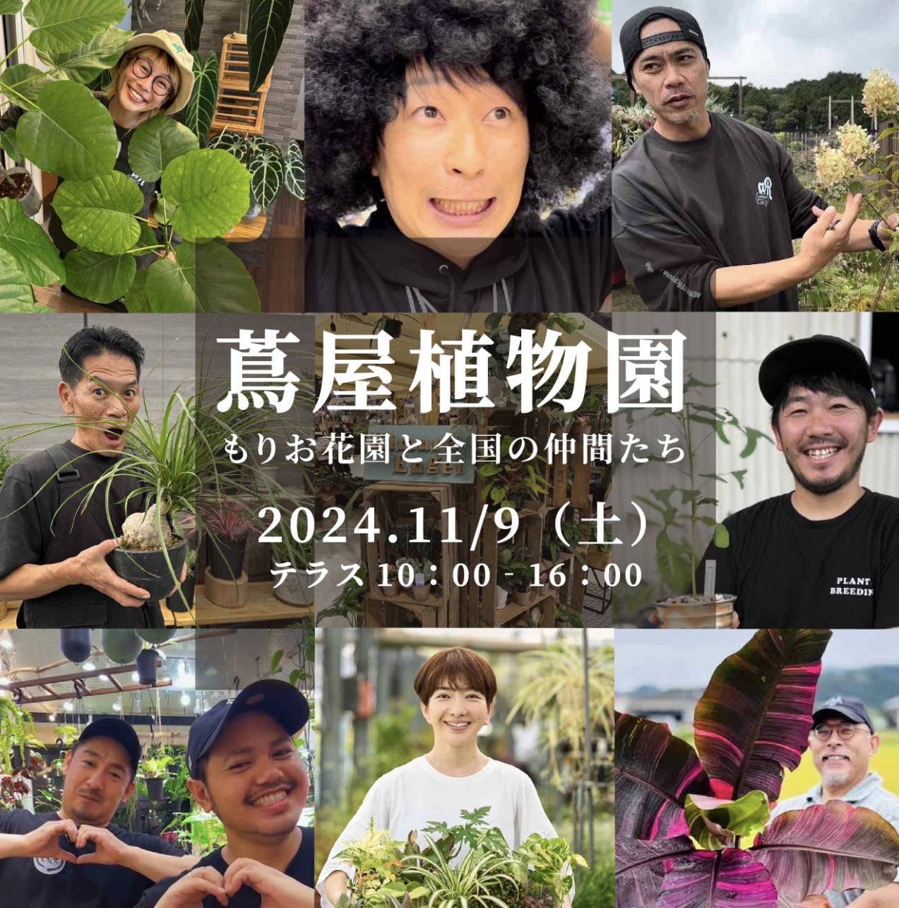11/9 高知市にて！植物イベント出店します！