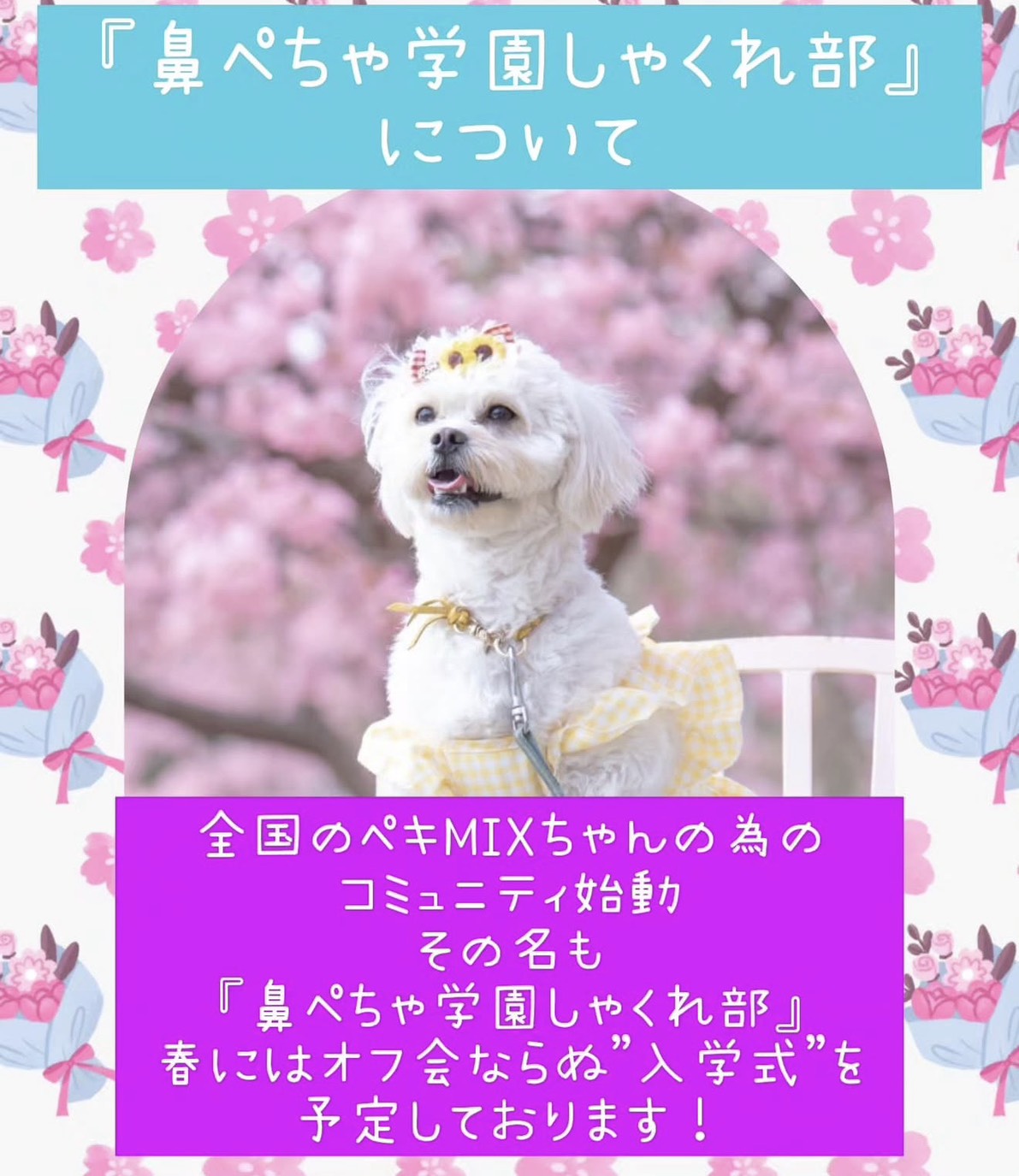 🌸初！！協賛イベントへの参加のご報告🌸🐶