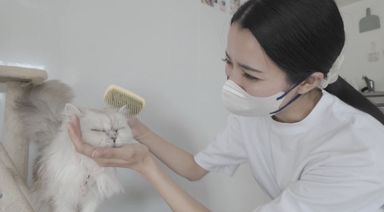 🐾 1本の首輪から、命を守る未来へ。